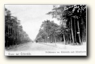 [Click to enlarge image]